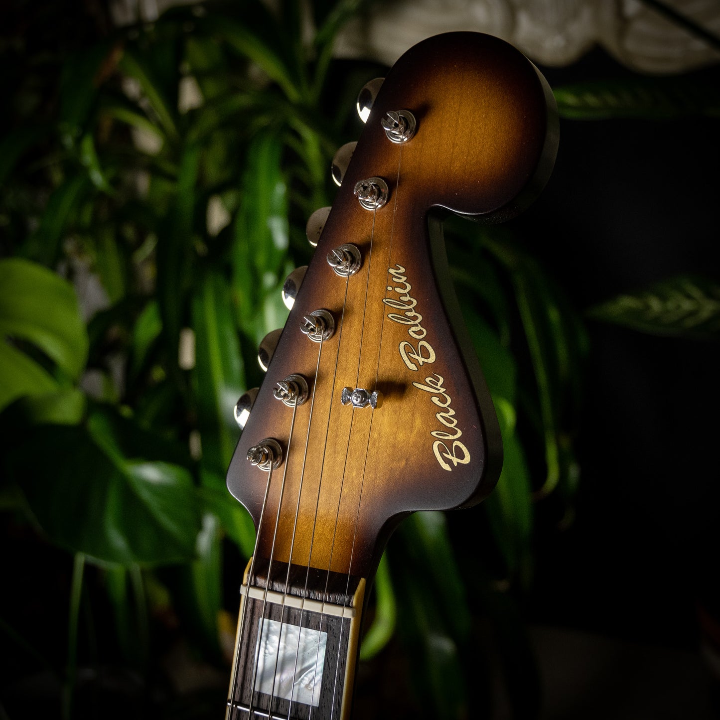Black Bobbin Custom JM '67 Coronado Burst